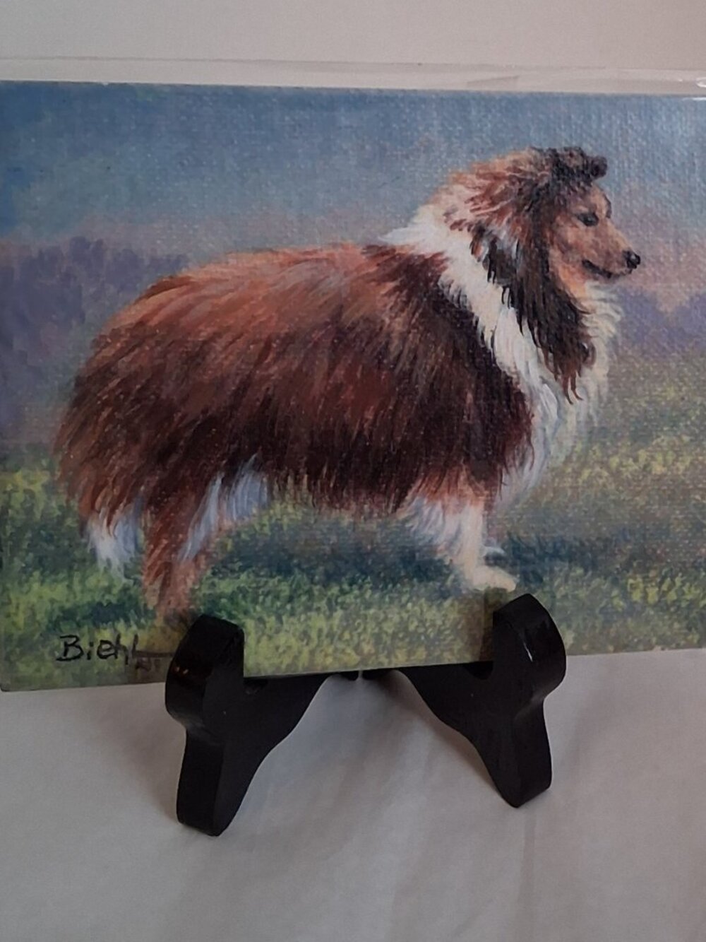 SHELTIE Dog Print of Sheltie by Joan Biehl - Joan Biehl Sheltie Print